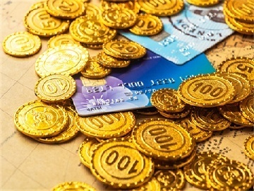 酒店推出宠物陪睡 狗狗日薪100元 酒店推出宠物陪睡，宠物经济新风尚引发社会关注